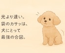 犬の選び方や飼い方の悩みを解決します 迎える前も迎えた後も、迷いを一緒に解消します イメージ5