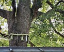 こんなに愛しているのになぜ統合できないのか視ます 魂が封じていた記憶を読み、今世で再会した理由をお伝えします イメージ8