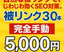 DA70~ブログ被リンク30本構築！手動対応します 自然な被リンクで、じわじわ効くSEO対策。 イメージ1