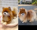 うちの子ワンちゃんお作りします 羊毛フェルトオーダーで愛犬をずっとそばに イメージ6