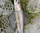 管理釣り場向け初心者向けのアドバイス致します トラウト（ニジマス、イワナ、ヤマメ）を主に専門にしています。 イメージ3