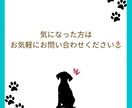 ゲスト参加型のオリジナルな結婚証明書が作れます わんちゃん、ねこちゃん好きなへの唯一無二な結婚証明書♡ イメージ4