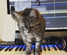 SunoAI曲のブラッシュアップをします プロ品質のDAW編集でリリース可能な楽曲へ仕上げます イメージ1