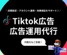 TikTok広告の運用•代行いたします TikTok広告で成果をあげませんか イメージ1