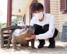 学生目線から客観的にどんな相談も一緒に向き合います 誰かに聞いて欲しい！そんな身近な話し相手やります。 イメージ5