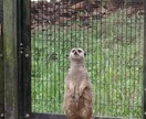 お悩み相談のります なんでも貴方様のお悩み相談にのります! イメージ1