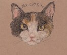 ねこちゃんの似顔絵お描きします オリジナルグッズ制作で使えるイラストをデータでお渡しします。 イメージ2