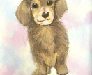 うちの子(ペットちゃん)描きます ポスターやSNSのアイコン等に使えるうちの子お描きします！ イメージ2