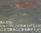 初心者 川釣り入門 　釣り仕掛け作り教えます 釣り行ってみたいのに、わからない方必見です！ イメージ7