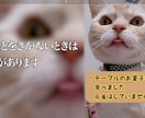 想いを形に、愛するペットのメモリアル動画ます 心に響く、優しい映像をお届け！！！ イメージ3