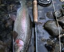 虹鱒 【釣り】 北海道の虹鱒をフライで狙う！ます ワイルドレインボー ハンティングメソッド イメージ4