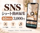 SNS向けショート動画を丁寧に編集します リール・TikTok・YouTubeショート対応！ イメージ1