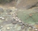 即日作成！国内の旅プラン・旅しおり作成します 行き先・日程・予算に合わせて、プロの旅人が最適プランを提案！ イメージ6