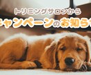 シンプル〜複雑なデザインまで承ります 期間限定で1500円〜承ります！ イメージ2