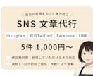 修正無制限｜SNS投稿文、代筆します Instagram運用経験者が言葉でサポート イメージ1