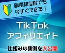 ニッチな副業TikTokで稼ぐノウハウを暴露します 編集スキル・顔出し・声出し必要なし！ノウハウの裏側を公開！ イメージ1