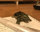 行き詰まっている原因を探します 人生は自分自身で創り上げる！のだ！ イメージ1