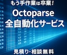 Octoparseのスクレイピング設定を代行します あなたの自動データ収集を即戦力化！完全オーダーメイド設定です イメージ4