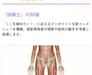 ダイエットで綺麗・理想の自分に★2週間伴走します 飽き性、3日坊主、継続苦手大歓迎！習慣を作りモチベ維持♥ イメージ7