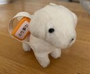 なんでも聞きます 話してスッキリしましょう♪人生いろいろありますからねー♪ イメージ1