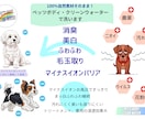 ペットのプロが制作！ペット専門広告作成します ペット業界26年犬、猫、小動物に特化した広告デザイン イメージ5