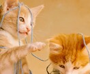 人に言いづらい悩みや愚痴、お聞き致します 家族、知人には話し辛い悩みや愚痴をお聞きさせていただきます。 イメージ1