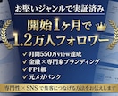 金融1.2万人FPが専門家のSNS戦略を設計します お堅い金融ジャンルで1.2万人を集めた実体験を共有します イメージ2