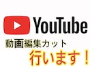 YouTube動画編集カットだけ行います めんどくさいカット編集代行します！ イメージ1