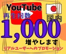 YouTube国内再生回数1,000増やします あなたのYouTuber人生の背中を押します イメージ1