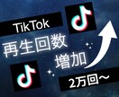TikTokの再生回数2万回増やします 3投稿まで振分け可◯ティックトックで衝撃のコスパで保証付き！ イメージ3