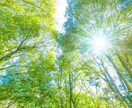 若者のパワフルなエネルギーお裾分けします あなたの心臓のBPM300上げます！！！！！！！！ イメージ2