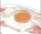 食べ物、料理、メニューのイラストを描きます 美味しそうなイラストを提供します。 イメージ3