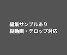 動画編集｜顔出し不要・カット＆テロップ対応ます SNS向け動画を見やすく丁寧に編集します イメージ3