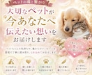ペットの魂と繋がり今伝えたい想いをお届けします 「言葉はなくても、愛はちゃんと届いています。」 イメージ1