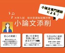 大学の総合型選抜の小論文を丁寧に添削します 改善ポイントや勉強法のアドバイスも！ イメージ1