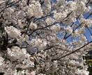 アラフォー主婦ねもちーがお話し聞きます ～あなたの一番のお気楽話し相手に～ イメージ2