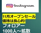 インスタのフォロワー1000人増加します オープンセール特別価格実施中！11月限定サービス付き イメージ1