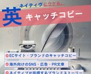 プロ品質の英語コピーライティング＆文章作成します ネイティブが共感する英語コピーを作成します！ イメージ1