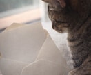 言葉にできない気持ちを、静かな手紙にします 整理されていない言葉から書きます。 イメージ1