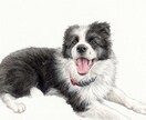 先着5名　高品質な水彩ペット似顔絵｜制作します 通常4千円が今だけ2千円！水彩の優しい質感で愛犬を描きます。 イメージ1
