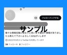 お買い得!Twitter日本人フォロワー増やします ツイッター＋310人〜増加可能☆それ以上はOP参照下さい イメージ4
