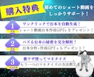 知識ゼロスキルなしでもショート動画の作り方教えます 初心者でもAI活用してラクに収益化！最新マネタイズ法大公開！ イメージ7