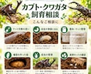 カブトムシ・クワガタの飼育の迷いを整理します 1ケース・1テーマ1,000円｜次の確認事項を整理 イメージ2