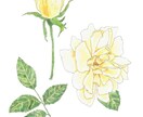 花や植物を描きます 華やかな挿絵やワンポイントになる水彩画を提供します。 イメージ7