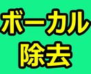 曲のボーカル除去します 既存曲からボーカルを抜いてトラック作成します イメージ1