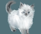 あなたの愛猫を描きます 愛猫の魅力をアートに！世界に一つだけのペットポートレート イメージ5