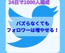 バズり無しでもTwitterフォロワーは増やせます たった24日でフォロワー1000人獲得した方法 イメージ1