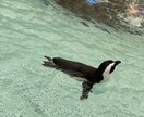 とりあえず話したい‼︎って方、待ってます 憂さ晴らしや誰にも言えない悩み事等、全て受け止めます⭐︎ イメージ2