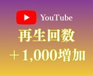 YouTube動画の再生数＋1,000回増やします ☆合計＋1万回まで対応可能☆驚きの安さ☆収益化のお手伝い イメージ1