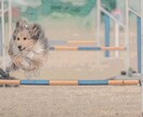 写真から精密模写し、パステル風似顔絵を制作します 誕生日や記念日、クリスマスなどの年間行事のプレゼントに。 イメージ3